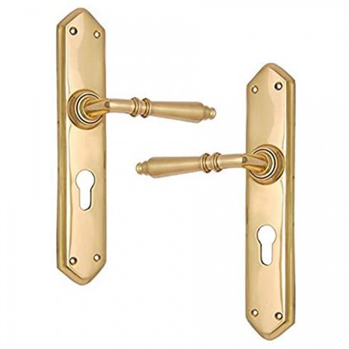 "Amaziah" Brass Door Handle with Plate 